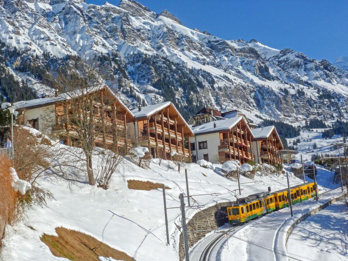 Studio Krokus By Interhome Wengen Eksteriør bilde