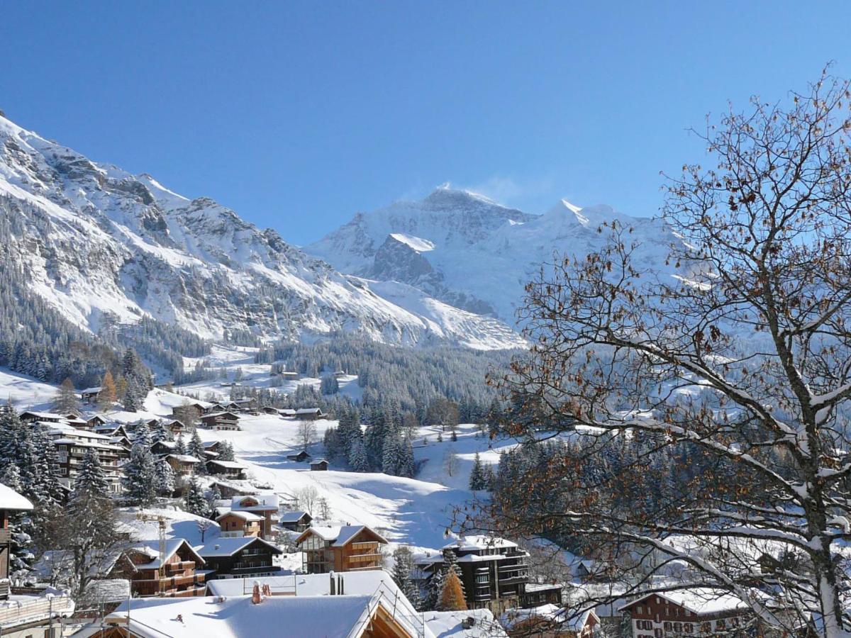 Studio Krokus By Interhome Wengen Eksteriør bilde